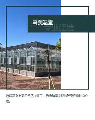 溫室大棚 可用于花卉水果蔬菜苗木種植 森美農業工廠專業定制