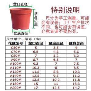 【花卉營養杯價格】最新花卉營養杯