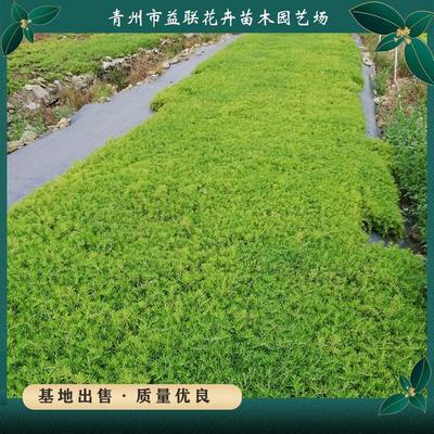 全國各行業企業/工廠_全國各行業供應商