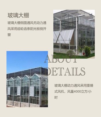 溫室大棚 可用于花卉水果蔬菜苗木種植 森美農業工廠專業定制