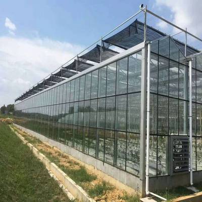 溫室大棚 可用于花卉水果蔬菜苗木種植 森美農業工廠專業定制