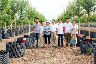 甘肅金昌 戈壁灘上的 花木工廠