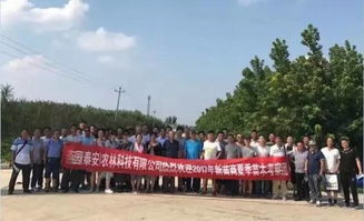 甘肅金昌 戈壁灘上的 花木工廠