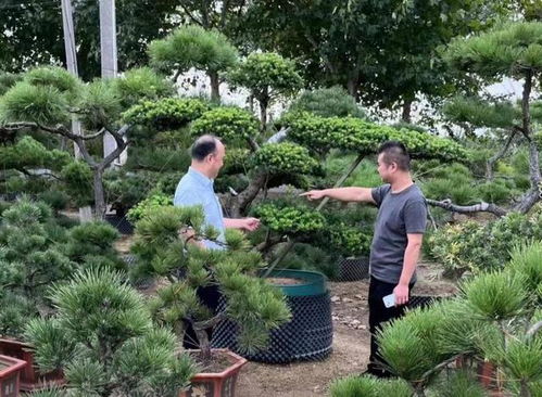 建行常州武進支行 貸 動鄉村特色產業發展