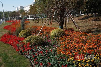 完成50.4千米路段景觀環(huán)境整治,湖北路橋助力濕地公約大會(huì)舉行