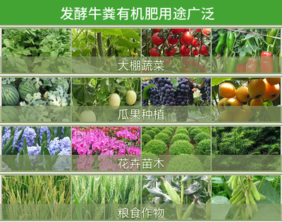 腐熟牛屎做肥料該選哪種牛糞發酵劑