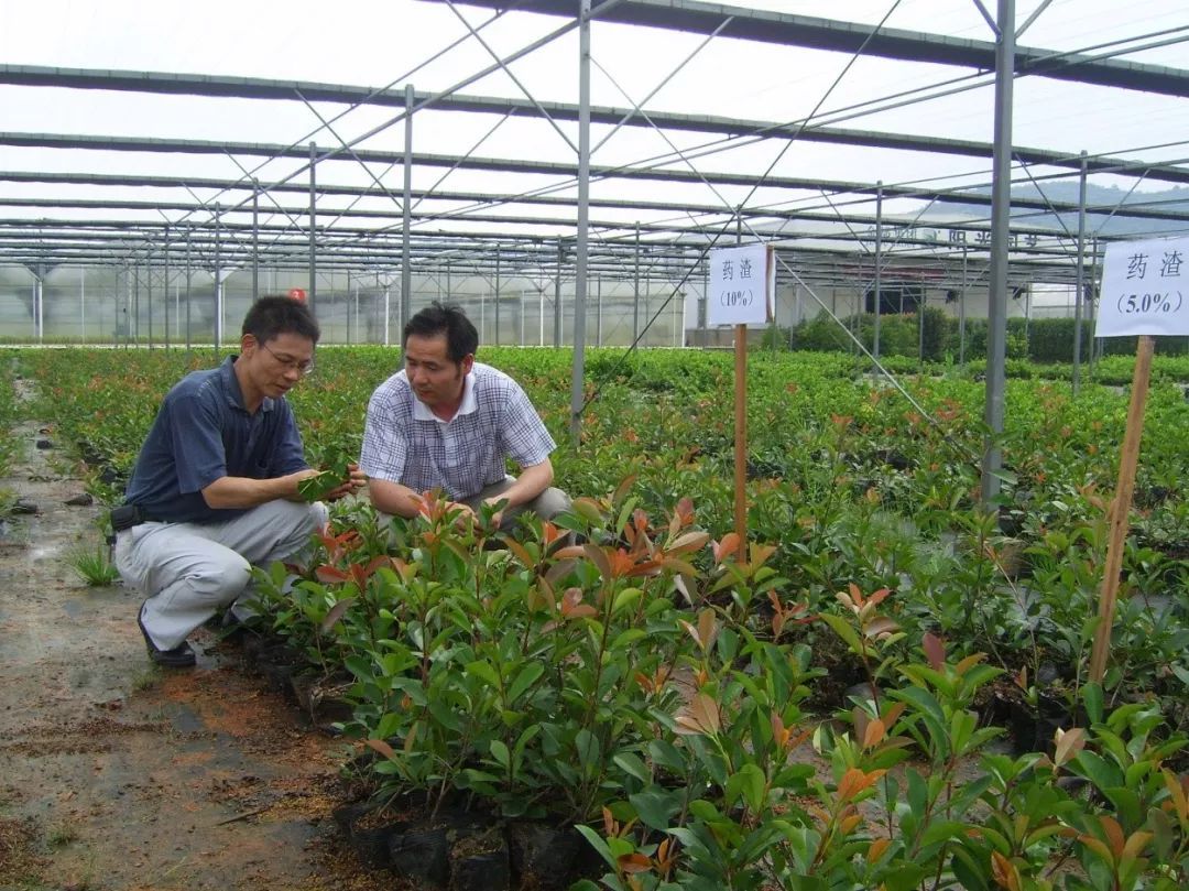 強!花卉苗木生態種植,綠色陽光農業生態公司給你作示范