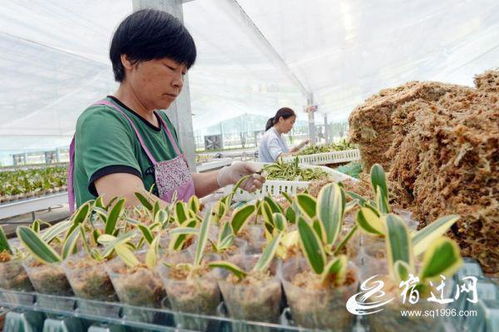 產(chǎn)業(yè)轉(zhuǎn)型 健康發(fā)展
